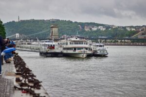 Photo boat trips on the Danube