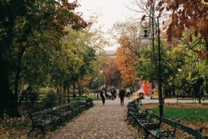 Photo universities in Bucharest