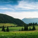 Istoria Palatului Parlamentului: Curiozități despre cea mai mare clădire din Europa