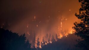Photo fires and earthquakes