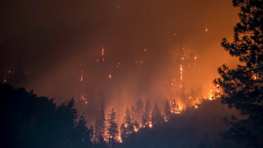 Photo fires and earthquakes