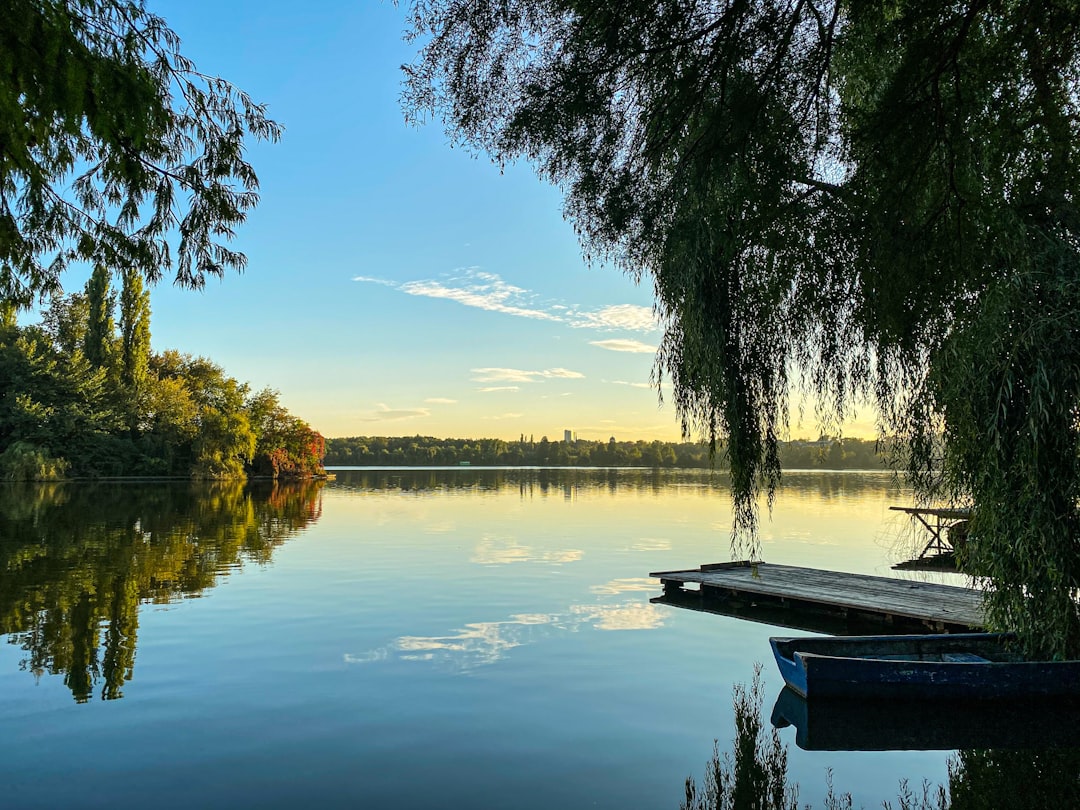Photo forests and lakes around Bucharest