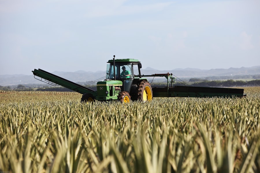 Photo agroalimentare